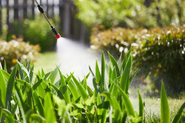 Tamper-Resistant Bait Stations for Rodents in Boston