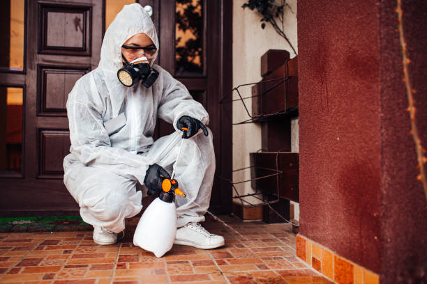 Attic and Crawl Space Rodent Treatment in Boston